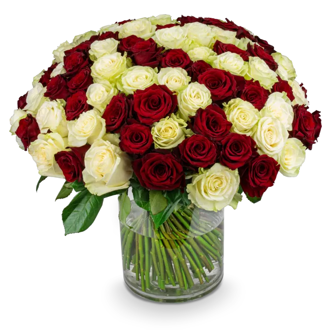Boquet of white and red roses